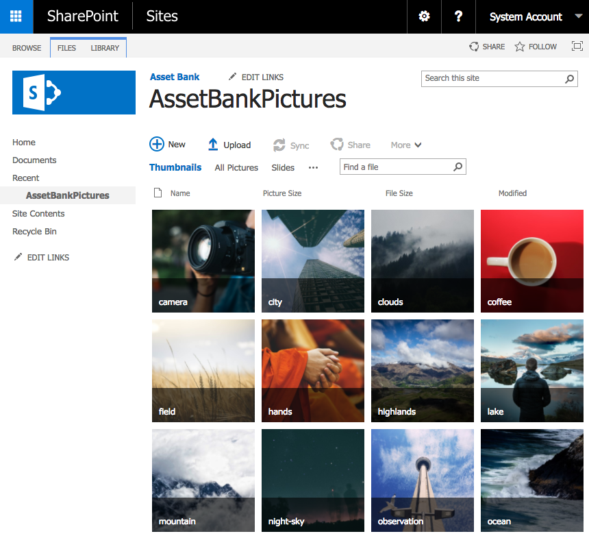 SharePoint Digital Asset Management Integration Asset Bank